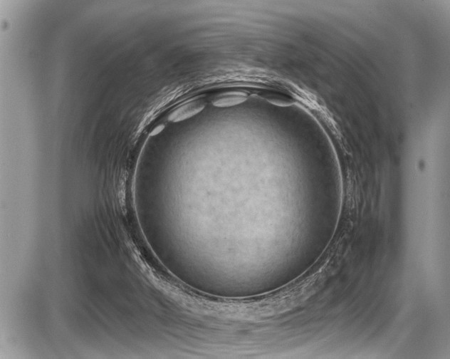 X0000087400010200704201319
