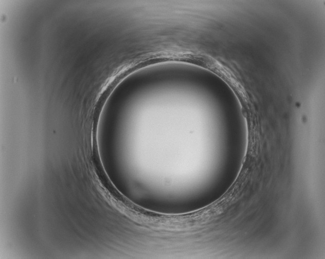 X0000087400011200704201319