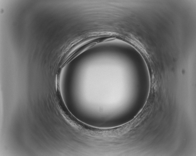X0000087400013200704201319