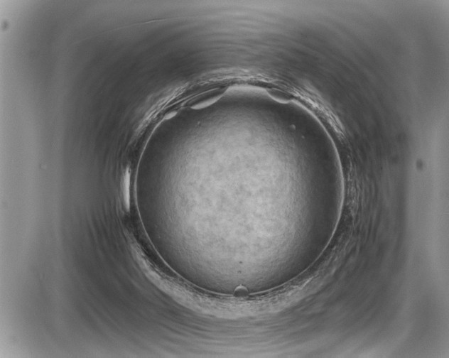 X0000087400014200704201319