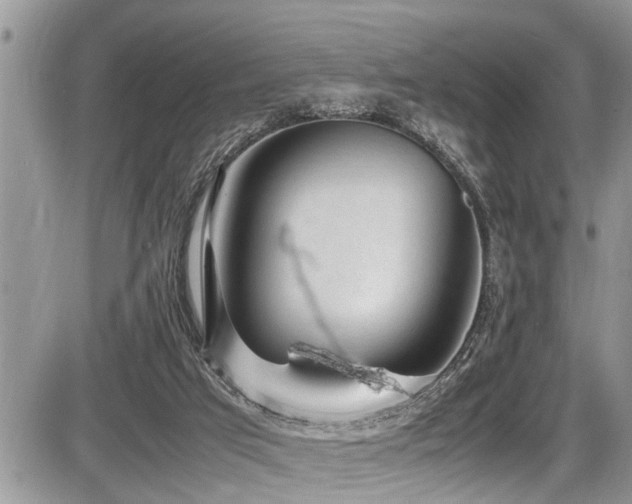 X0000087400017200704201319