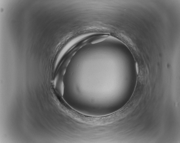 X0000087400023200704201319