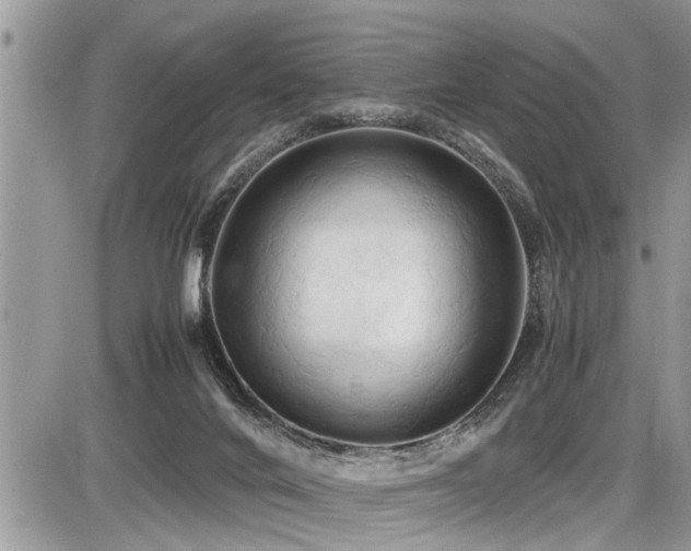 X0000087400024200704201319
