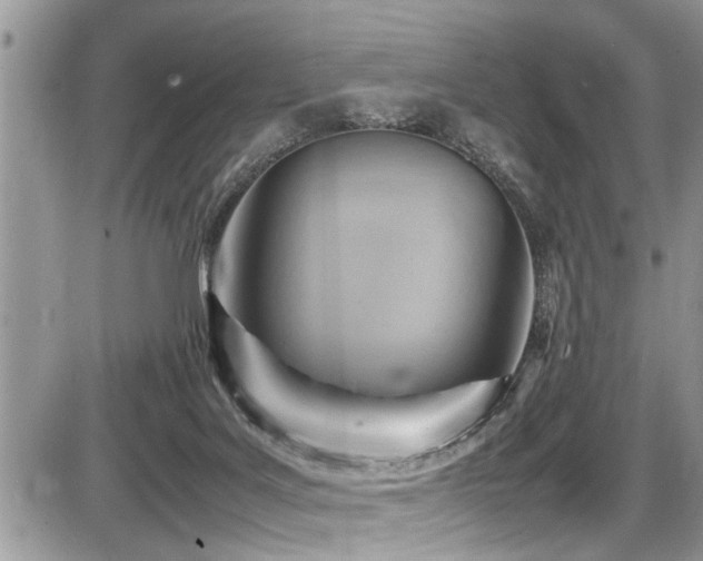 X0000087400027200704201318