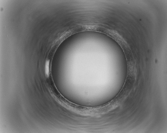X0000087400028200704201318