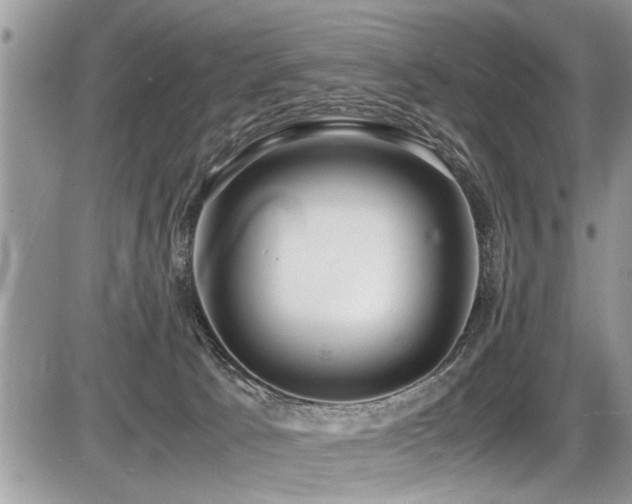 X0000087400033200704201318