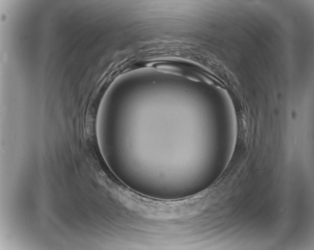 X0000087400035200704201318
