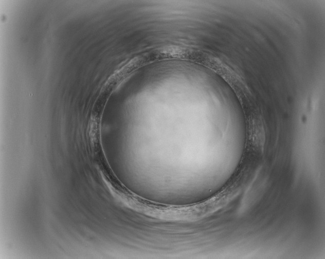 X0000087400036200704201318