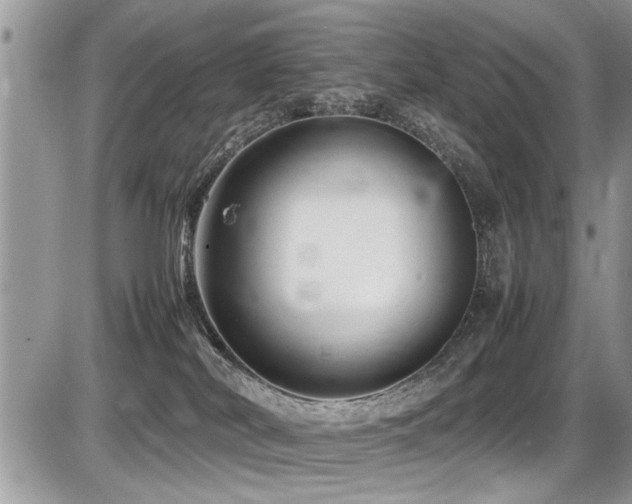 X0000087400038200704201318