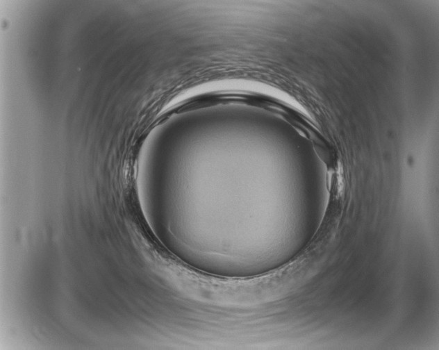 X0000087400039200704201318