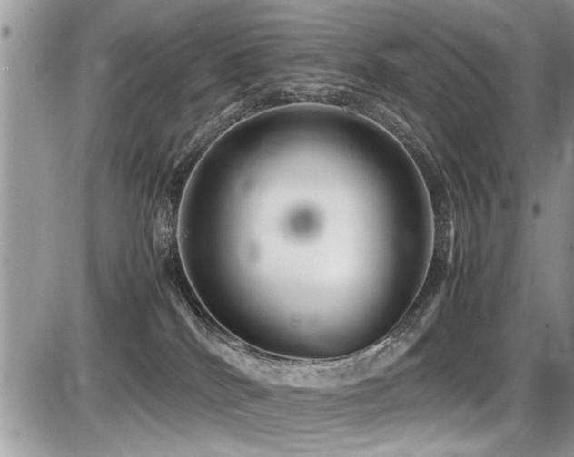 X0000087400040200704201318