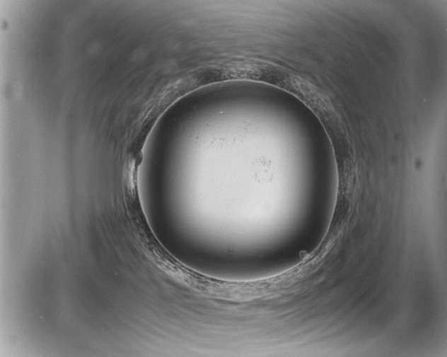 X0000087400041200704201318