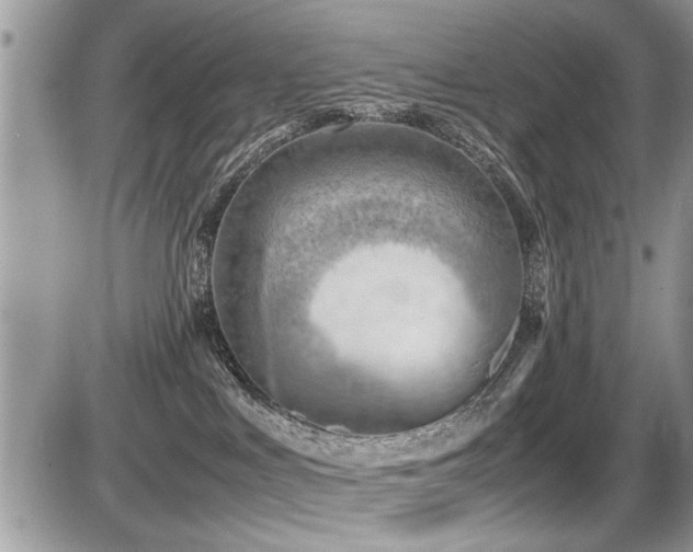 X0000087400043200704201318