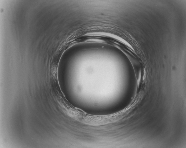 X0000087400045200704201318