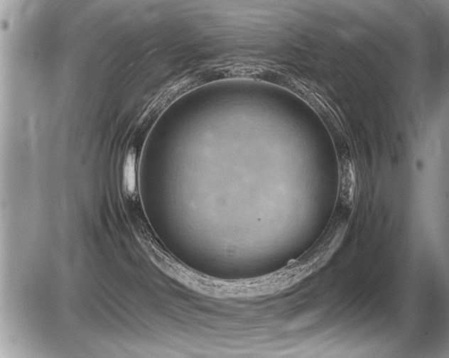 X0000087400046200704201318