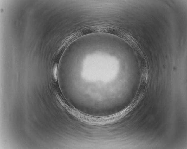 X0000087400047200704201318