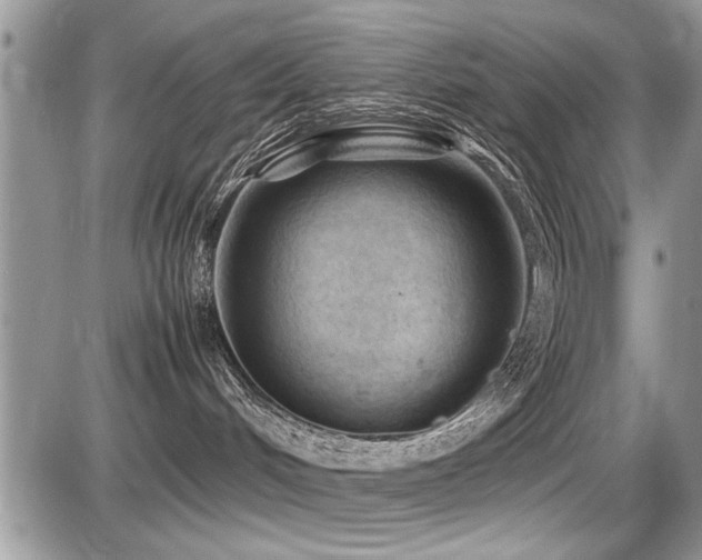 X0000087400048200704201318