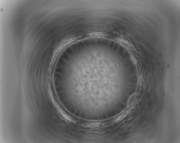 X0000087400049200704201317