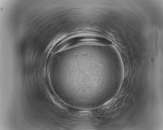 X0000087400050200704201317