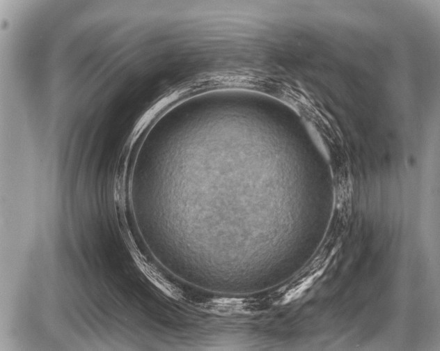 X0000087400052200704201317
