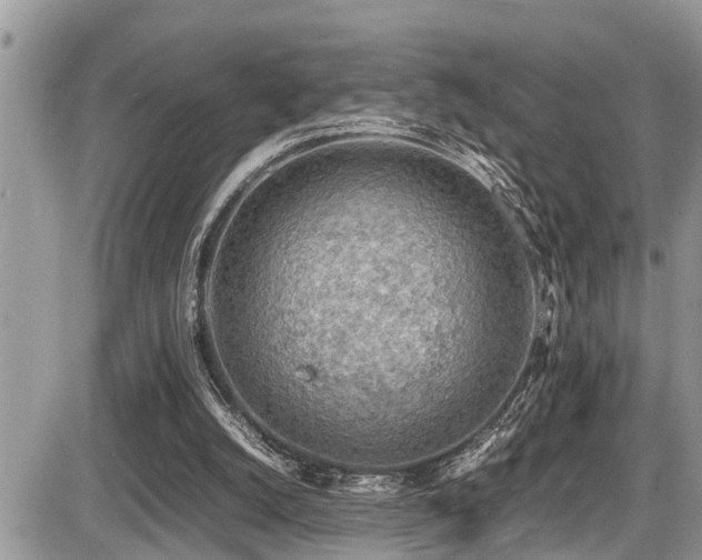X0000087400056200704201317