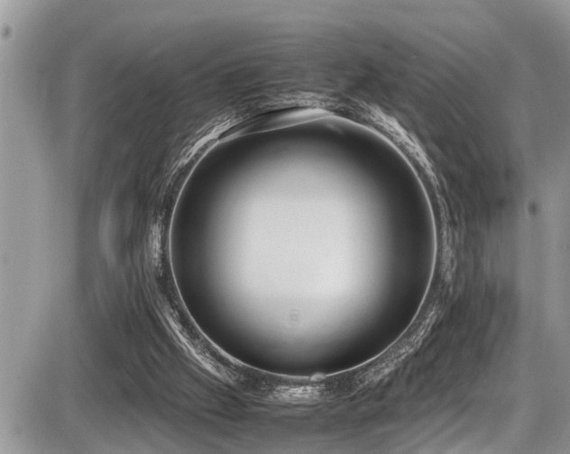 X0000087400057200704201317