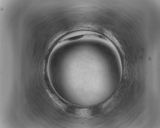 X0000087400058200704201318