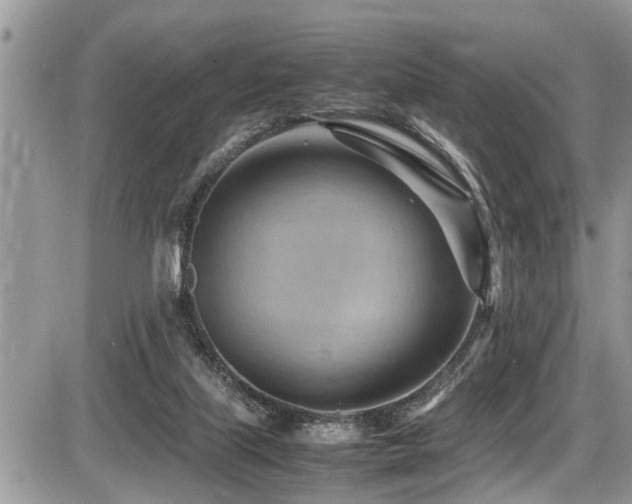 X0000087400067200704201318