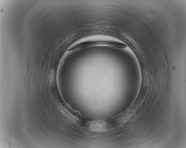 X0000087400077200704201318
