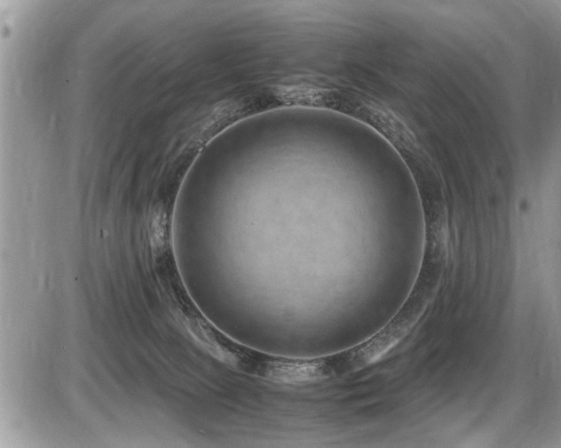 X0000087400081200704201318