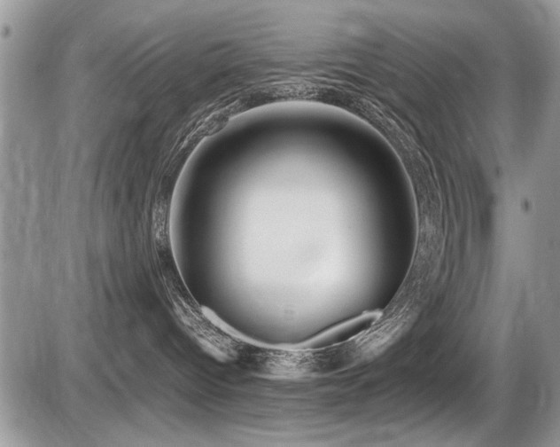 X0000087400096200704201318