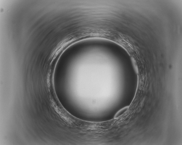 X0000087400098200704201317