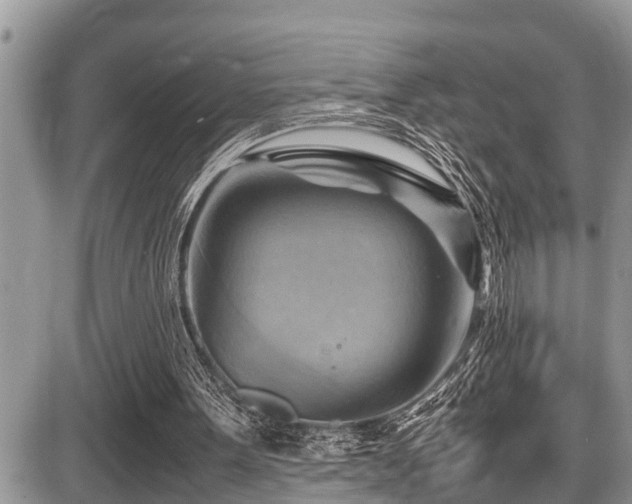 X0000087400099200704201317