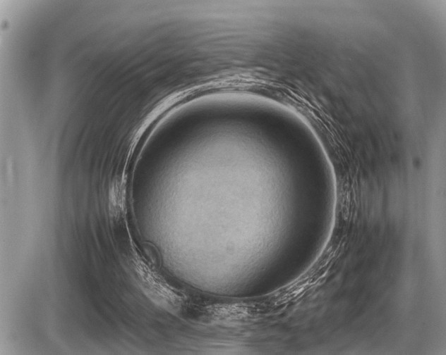 X0000087400100200704201317