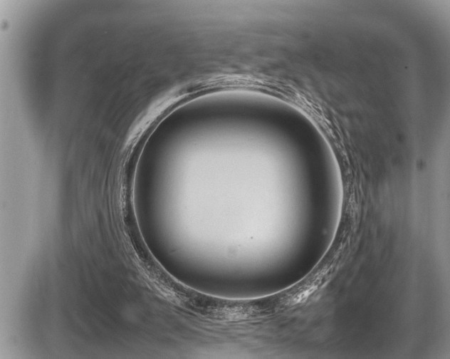 X0000087400103200704201317