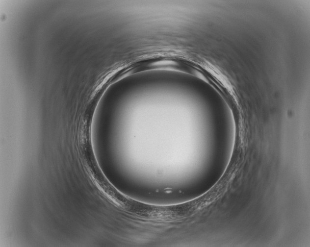 X0000087400105200704201317