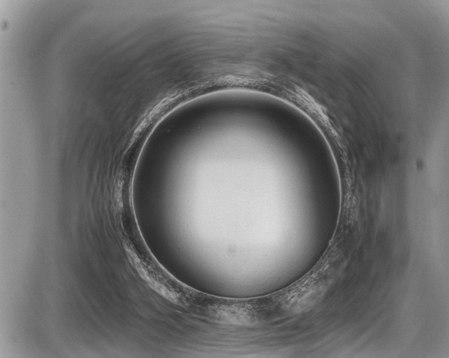 X0000087400106200704201317