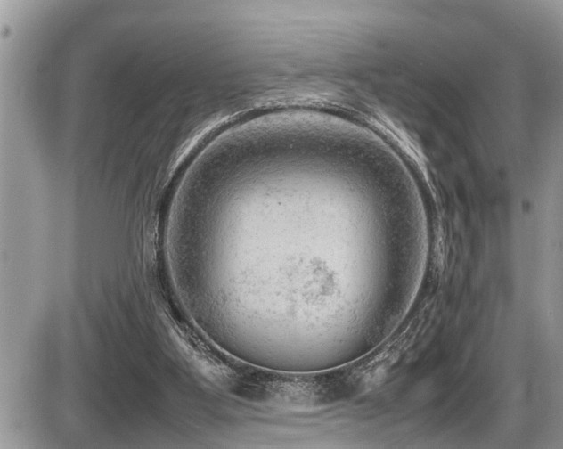 X0000087400107200704201317