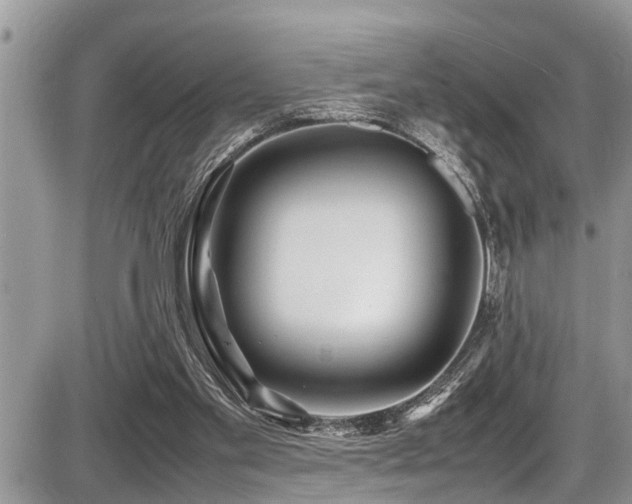 X0000087400109200704201317