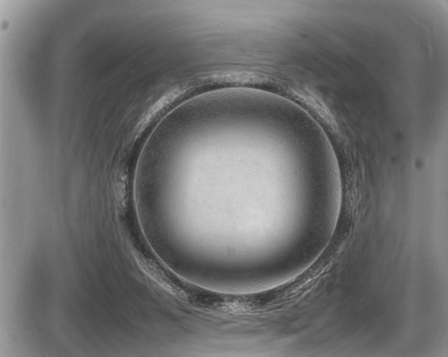 X0000087400111200704201317