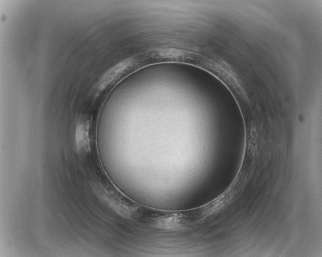 X0000087400116200704201317