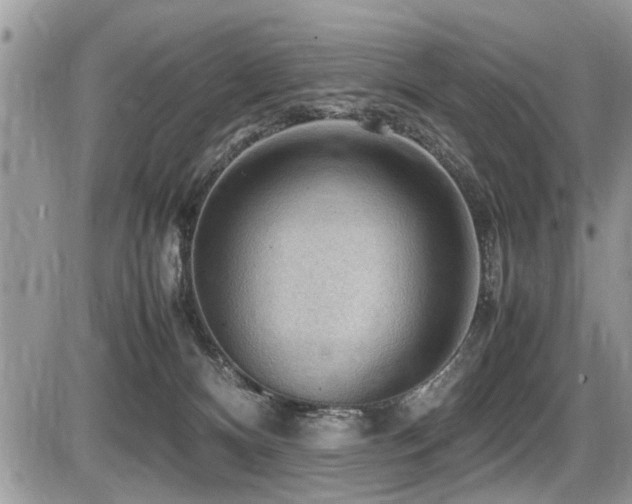 X0000087400128200704201317