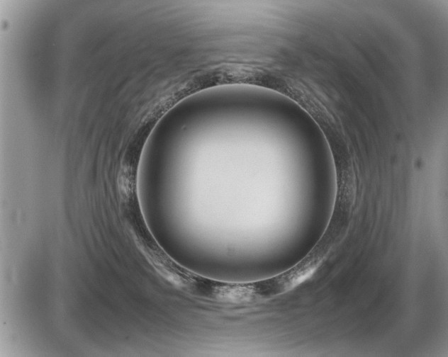 X0000087400135200704201317
