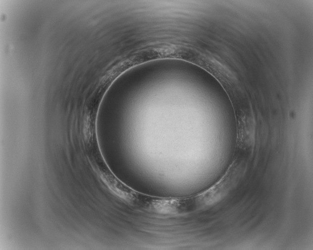 X0000087400136200704201317