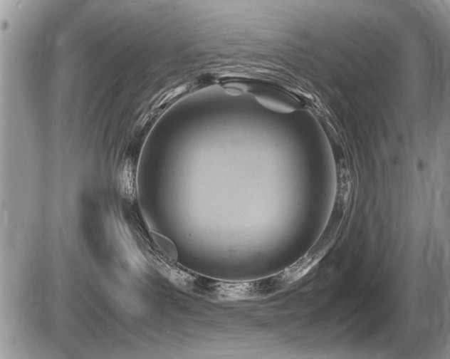X0000087400143200704201317
