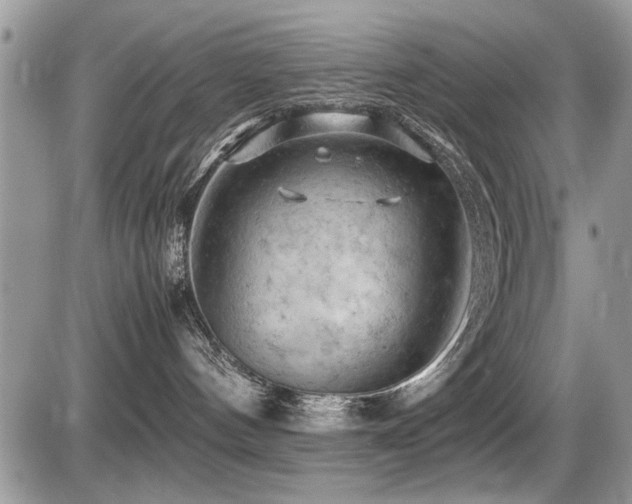 X0000087400144200704201317