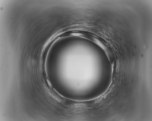 X0000087400150200704201316