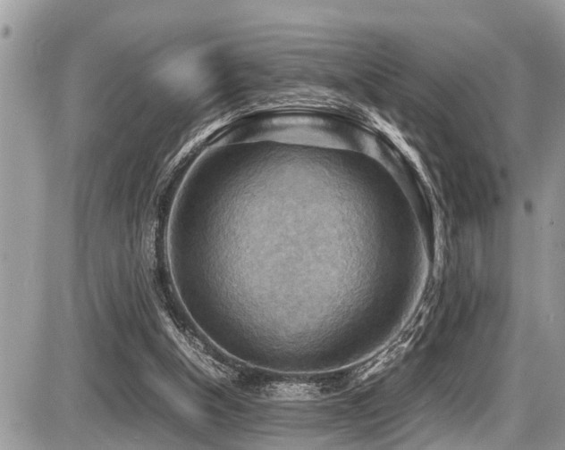 X0000087400154200704201316