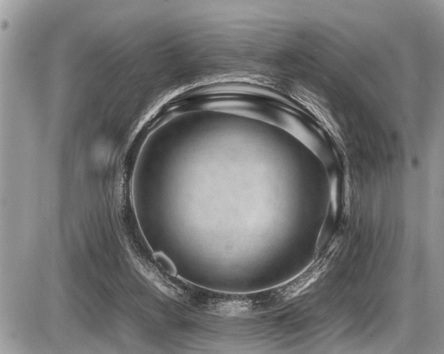 X0000087400156200704201316