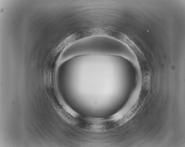 X0000087400158200704201316